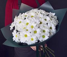 Букет цветов из:  Хризантемы #REPLACE_PRED# Краснобродском