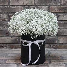 Цветочная композиция из Гипсофила в шляпной коробке в Краснобродском